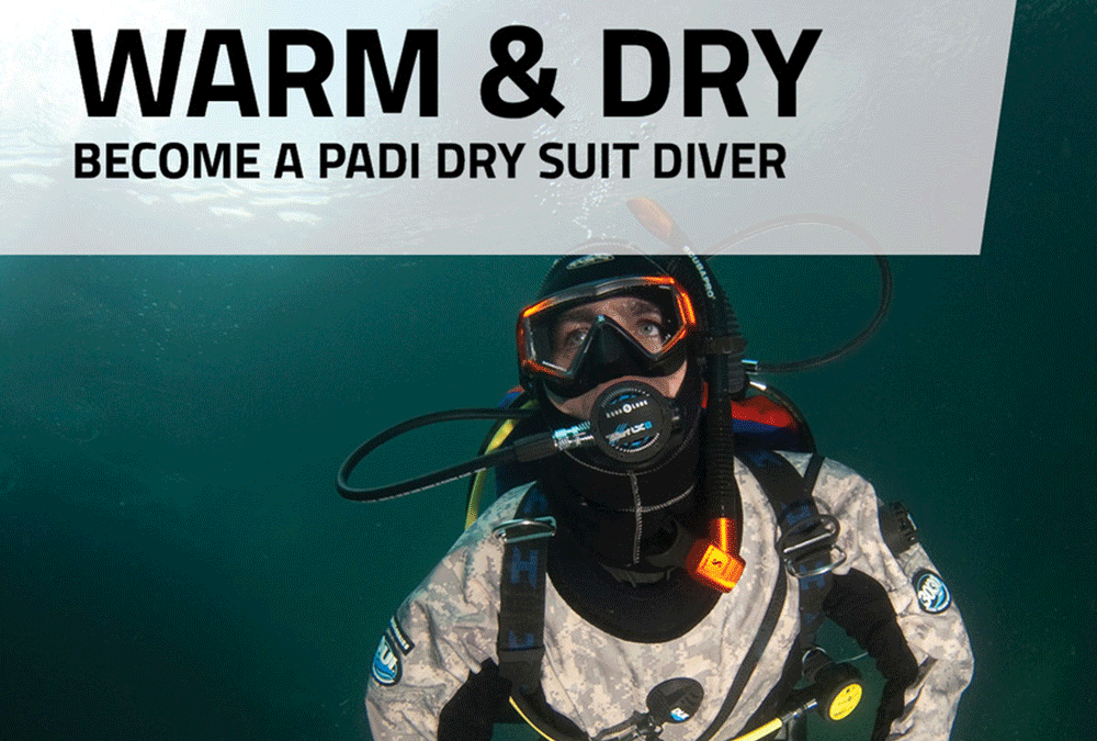 Drysuit Diver