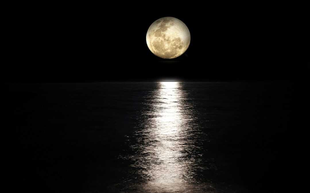 Vollmond Nachttauchen